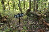 近江 園城の写真