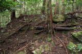 近江 小堤城山城の写真