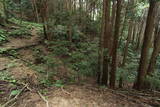 近江 小堤城山城の写真