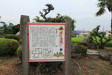 近江 上坂城の写真