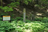 近江 京極氏上平館の写真