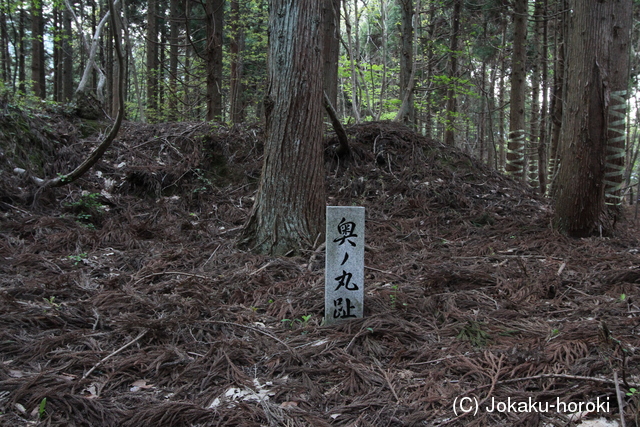 近江 田屋城の写真