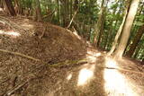 近江 松尾山砦の写真