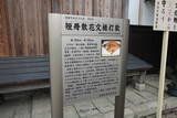近江 三川城の写真