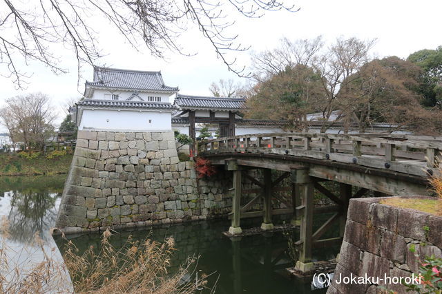 近江 水口城の写真