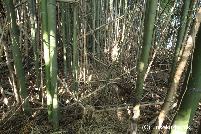 近江 南速水城の写真