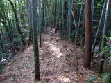 近江 望月城の写真