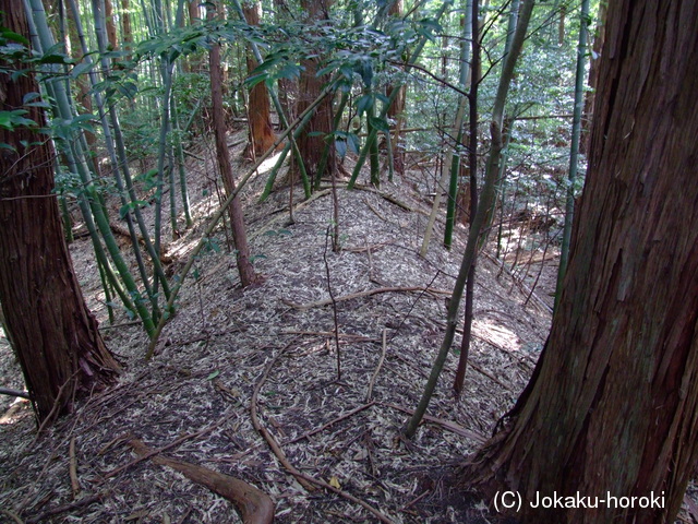 近江 望月支城の写真