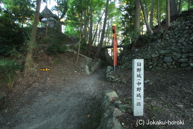 近江 中野城の写真