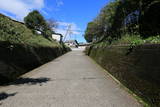 近江 鯰江城の写真