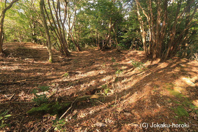 近江 西岡城の写真