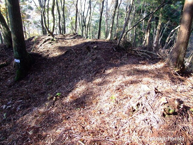 近江 西山城の写真