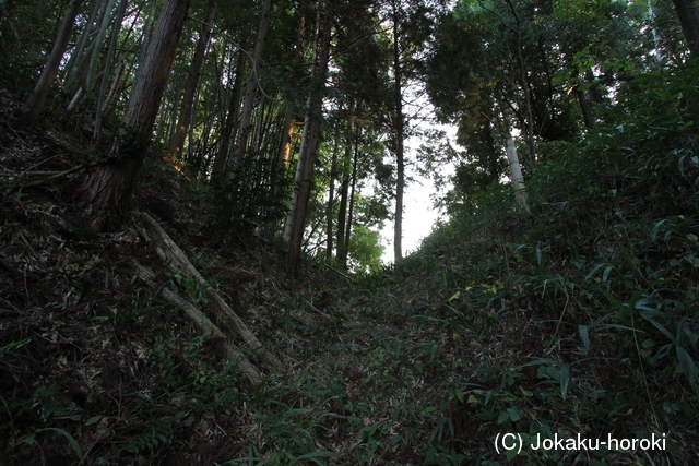 近江 野川城の写真