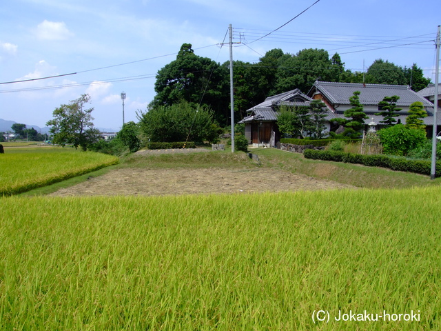 近江 野尻城の写真