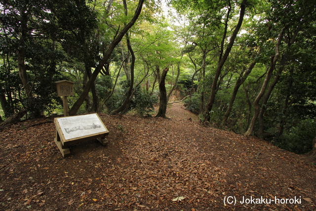近江 小谷城(月所丸)の写真