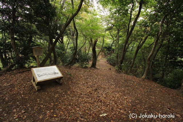 近江 小谷城(月所丸)の写真