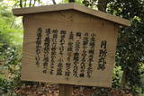 近江 小谷城(月所丸)の写真