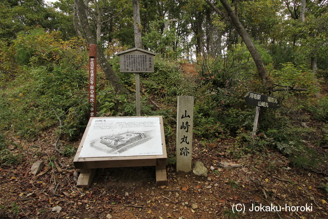 近江 小谷城(山崎丸)の写真