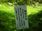 近江 小川城の写真