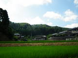 近江 小川城の写真