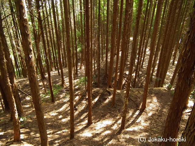 近江 小川西ノ城の写真