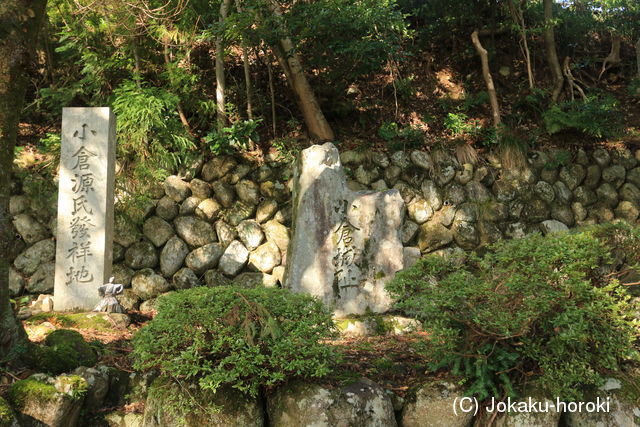 近江 小倉城の写真