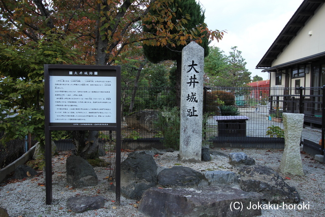 近江 大井城の写真