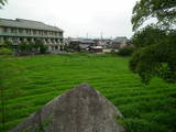近江 大溝城の写真