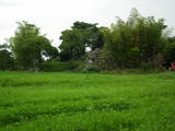 近江 大溝城の写真