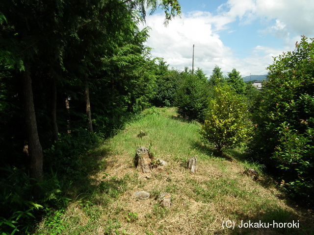 近江 大野山本城の写真