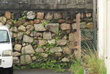 近江 大津城の写真