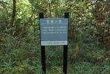 近江 佐久良城の写真