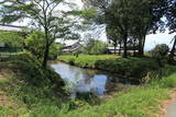 近江 桜生城の写真