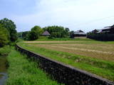 近江 篠山城の写真