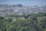 近江 佐和山城の写真
