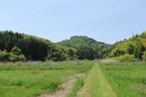 近江 佐和山城の写真