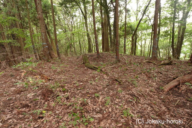 近江 茂山砦の写真