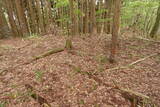 近江 茂山砦の写真