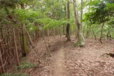 近江 茂山砦の写真