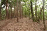 近江 茂山砦の写真