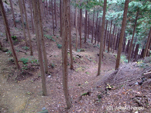 近江 清水山城の写真