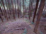 近江 清水山城の写真
