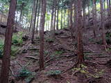 近江 清水山城の写真