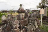 近江 新庄城の写真