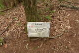 近江 神明山砦の写真