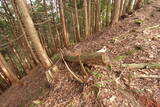 近江 神明山砦の写真