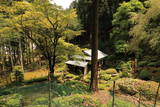 近江 枝折城の写真