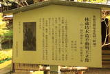近江 枝折城の写真