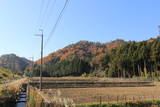 近江 菖蒲嶽城の写真