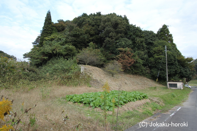 近江 染田砦の写真